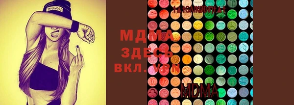 молекула духа Вяземский