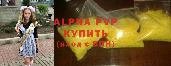стаф Вязьма