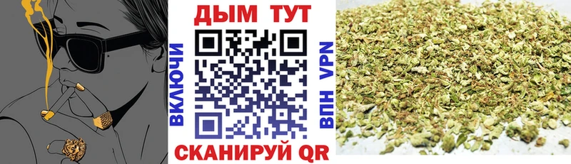 Купить закладки  Междуреченск  Бошки Шишки THC 21% 
